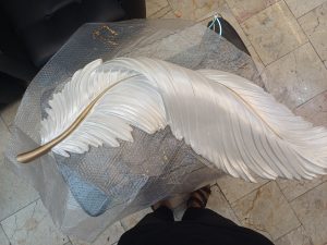 20240318 172911 scaled